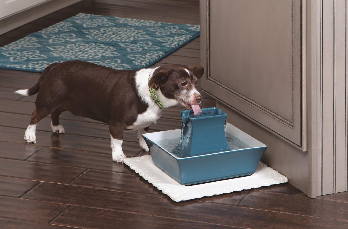 Pagoda Fountain - Hygienic Ceramic Continuous Flowing Fountain - Elevated Upper Bowl & Double Free-Falling Stream Design - Minimalist Pet Hydration Station - 70 oz Capacity