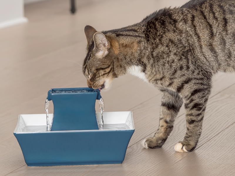 Pagoda Fountain - Hygienic Ceramic Continuous Flowing Fountain - Elevated Upper Bowl & Double Free-Falling Stream Design - Minimalist Pet Hydration Station - 70 oz Capacity