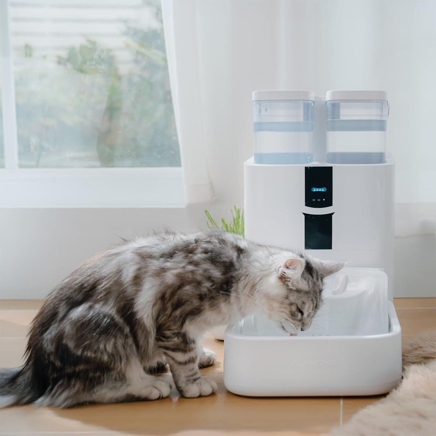 Automatic Cat Water Fountain 10L/338 oz Self Filling, Pet Drinking Fountains Dogs, Smart Bowl 5G WiFi Filtered Water Dispenser Easy Cleaning Oxygen-Rich, Wastewater Separate, No Slime, Quiet