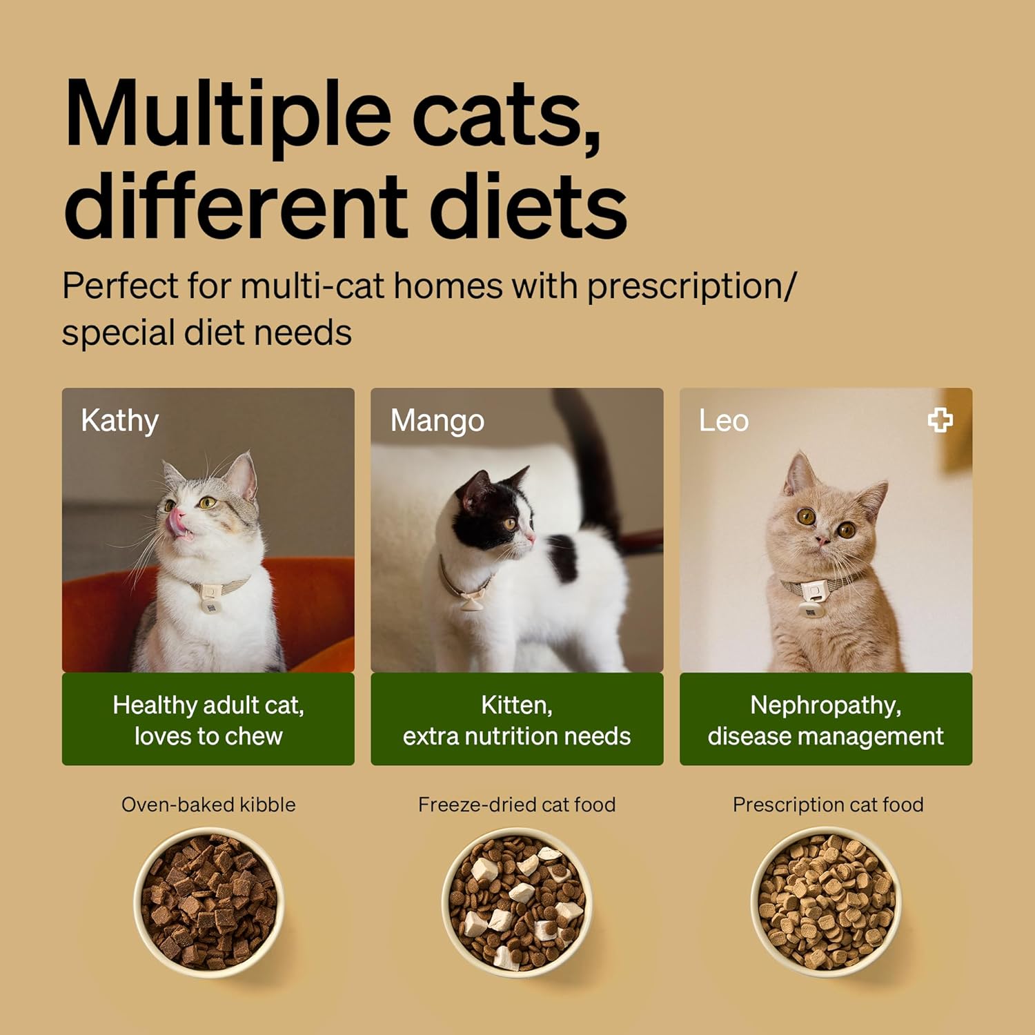 Automatic Cat Feeder, Collar Tag-Activated Personalized Meals, 5G&2.4G Wi-Fi Programmable Cat Food Dispenser with Cats Recognition & Diet Tracking for Multi-Pet Homes and Different Diets