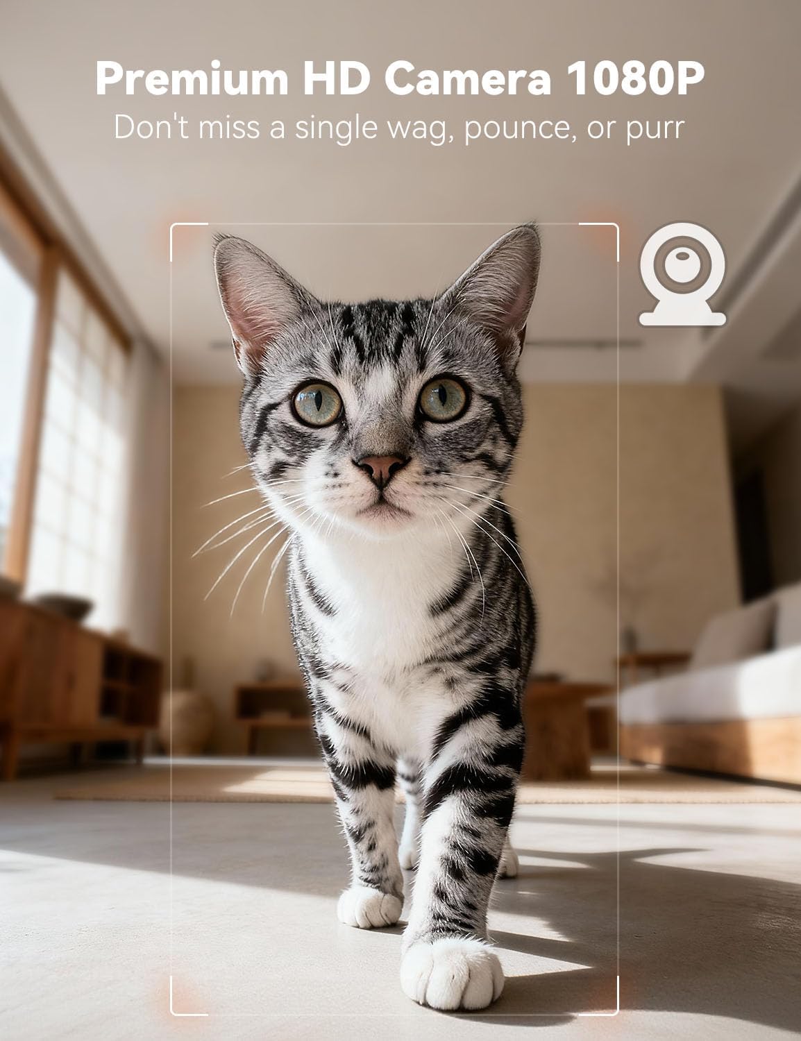 Automatic Cat Feeder with Camera for Two Cats, 6L Automatic Dog Feeder with HD Video and Night Vision, 5G/2.4G WiFi Pet Feeder for Cats & Dogs, SD Card Storage & 2-Way Audio