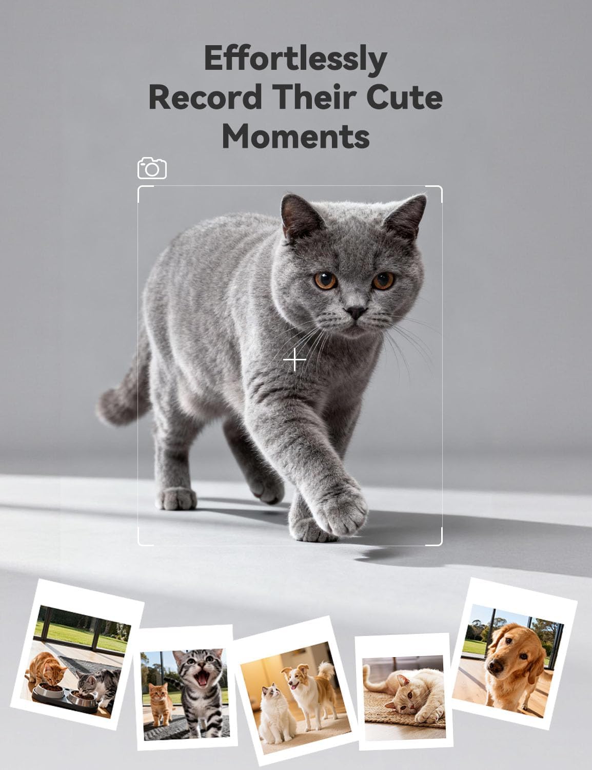 Automatic Cat Feeder with Camera for Two Cats, 6L Automatic Dog Feeder with HD Video and Night Vision, 5G/2.4G WiFi Pet Feeder for Cats & Dogs, SD Card Storage & 2-Way Audio